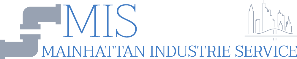 MIS LOGO